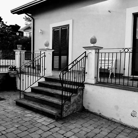 Primo Etna Apartment Pedara Zewnętrze zdjęcie